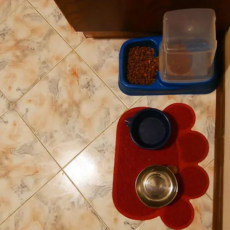 Marsalforn's Cosy Homestay szállás Marsalforn